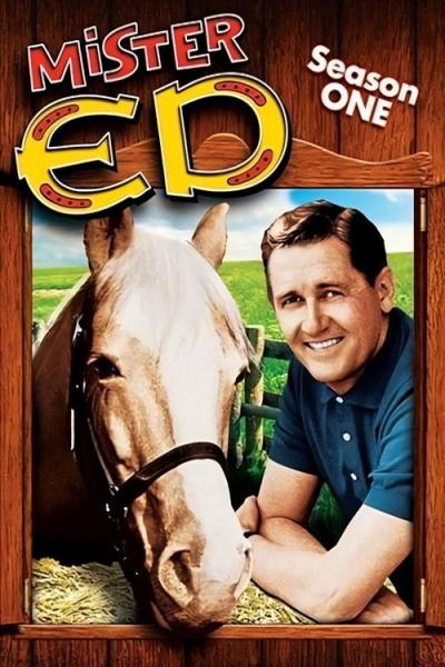 Mister Ed filmas online