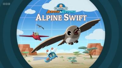 Octonauts: Above & Beyond