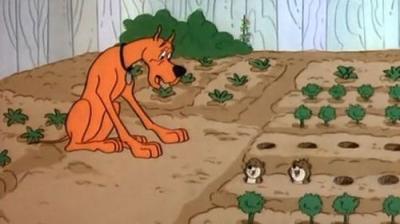 Heathcliff