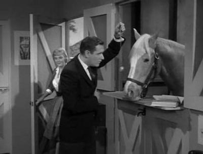 Mister Ed