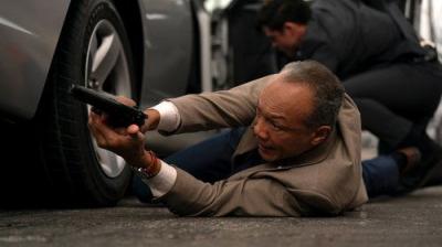 Bošas. Naujas skyrius