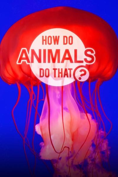 How Do Animals Do That? filmas online