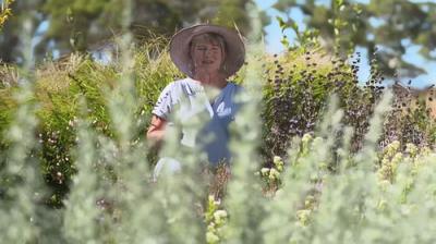 Gardening Australia