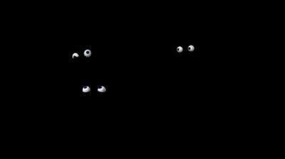 Madagaskaro pingvinai