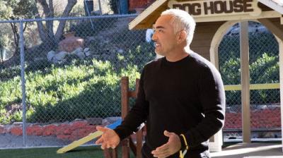 Cesar Millan: Better Human, Better Dog