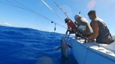 Deadliest Catch: Bloodline