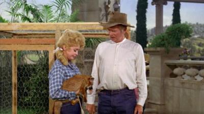 The Beverly Hillbillies