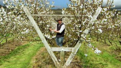 Gardening Australia