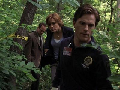 Įstatymas ir tvarka. Specialiųjų tyrimų skyrius