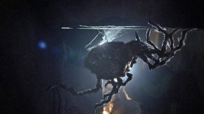 Žvaigždžių vartai. Visata