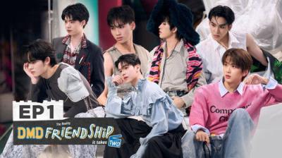DMD Friendship The Reality