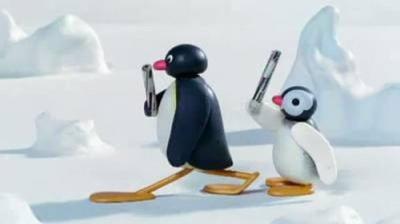 Pingu