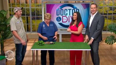 Doctor & the Diva