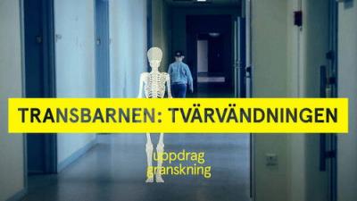 Uppdrag granskning