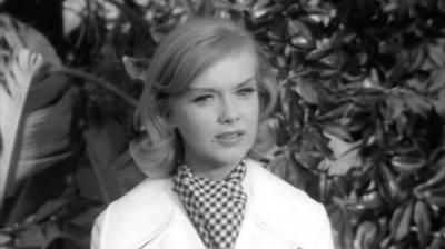 Honey West