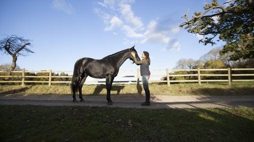 Free Rein filmas žiurėti online