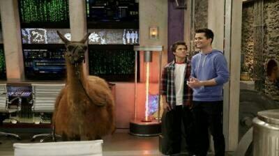 Lab Rats