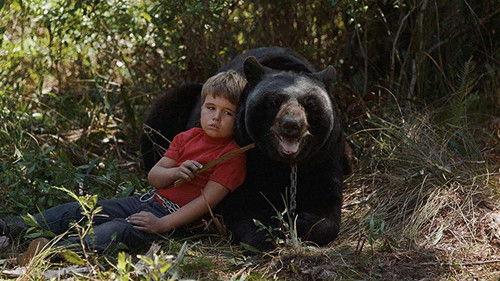 Gentle Ben filmas žiurėti online