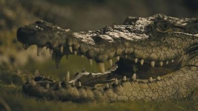 007: Road to a Million