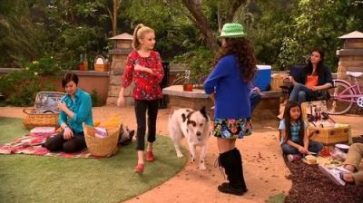 Dog with a Blog
