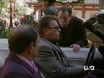 Nash Bridges