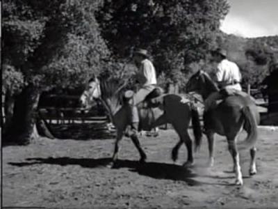 Gunsmoke