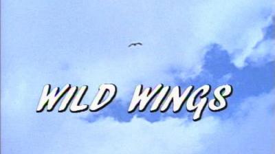 Marty Stouffer's Wild America