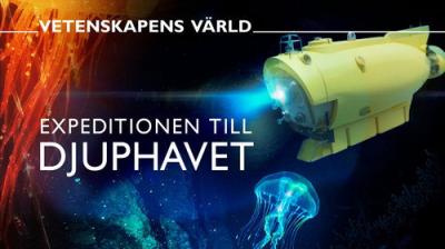 Vetenskapens värld