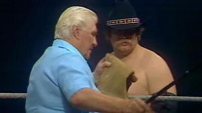 WWF All-Star Wrestling