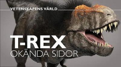 Vetenskapens värld