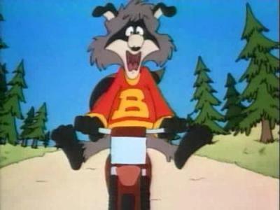 The Raccoons
