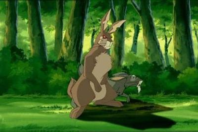 Watership Down