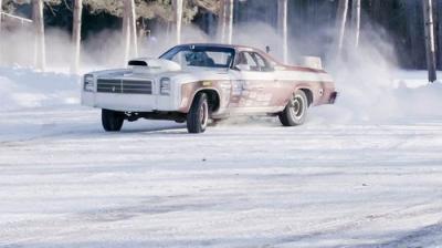 Roadkill