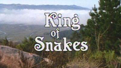 Marty Stouffer's Wild America