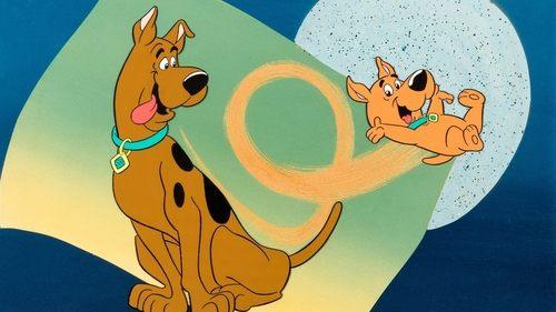 The New Scooby and Scrappy-Doo Show filmas žiurėti online