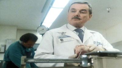 St. Elsewhere