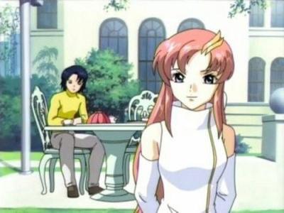 機動戦士ガンダムSEED