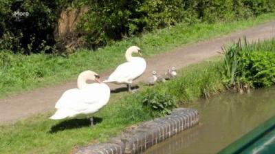 Great Canal Journeys