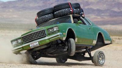 Roadkill