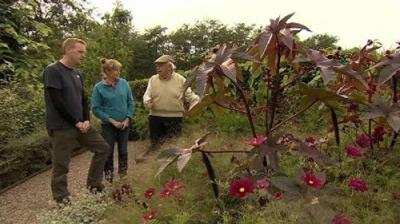 The Beechgrove Garden