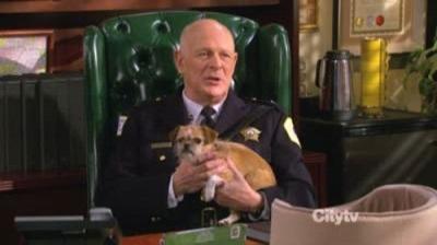 Mike & Molly