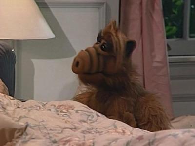 ALF