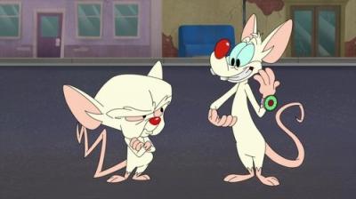 Animaniacs