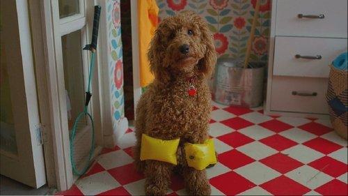 Waffle the Wonder Dog filmas žiurėti online