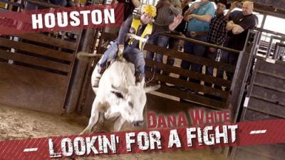 Dana White: Lookin' for a Fight