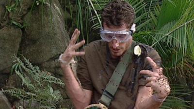 I'm a Celebrity...Get Me Out of Here!