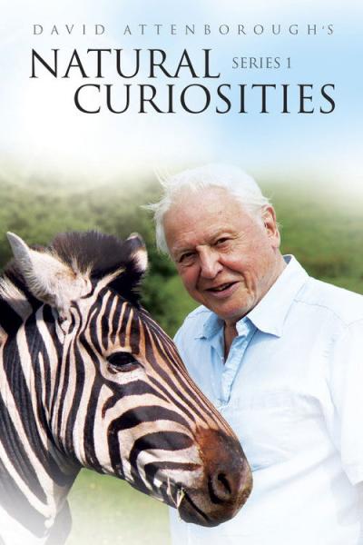 David Attenborough's Natural Curiosities filmas online