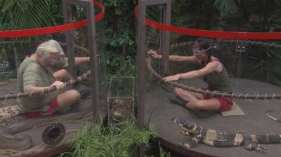 I'm a Celebrity...Get Me Out of Here!