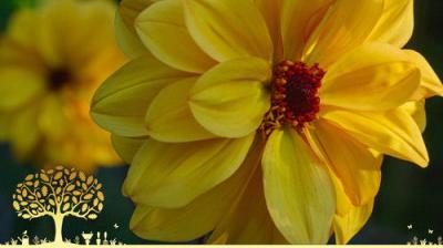 Gardeners' World