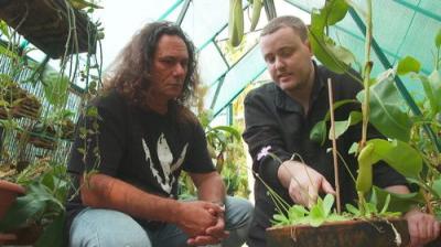 Gardening Australia
